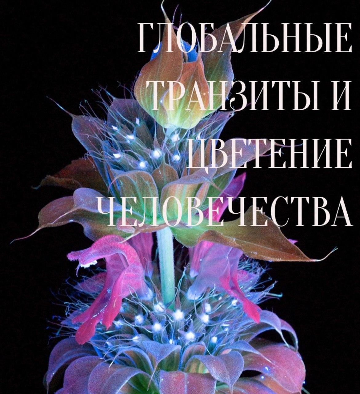 photo_2020-04-04_23-22-53